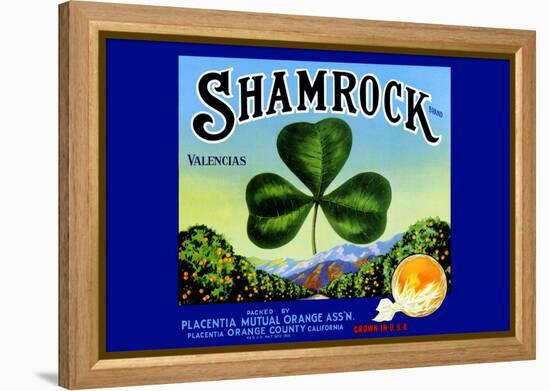 Shamrock Brand Valencias-null-Framed Stretched Canvas