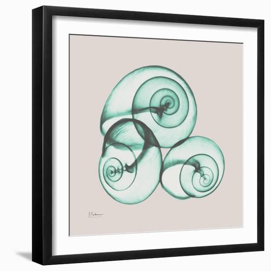 Shamrock Sky Snails-Albert Koetsier-Framed Photographic Print