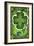 Shamrocks-David Galchutt-Framed Giclee Print