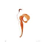Orange Tulip No 23-Shams Rasheed-Giclee Print