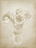 Soft Roses II-Shana Rae-Giclee Print