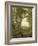 Shandaken Ridge, Kingston, New York, C.1854-Asher Brown Durand-Framed Giclee Print