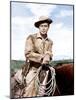 Shane, Alan Ladd, 1953-null-Mounted Photo