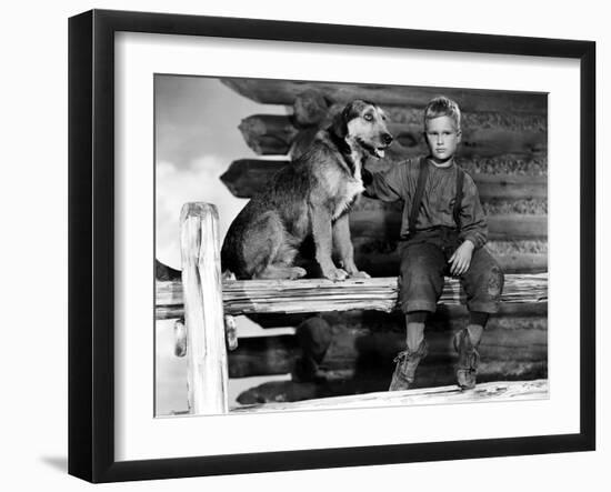 Shane, Brandon De Wilde, 1953-null-Framed Photo