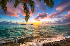 An Endangered Hawaiian Green Sea Turtle Cruises in the Warm Waters of the Pacific Ocean in Hawaii.-Shane Myers Photography-Photographic Print