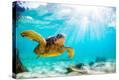Stretched Canvas Print
