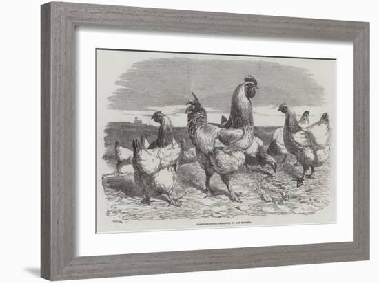 Shanghae Fowls Presented to Her Majesty-Harrison William Weir-Framed Giclee Print