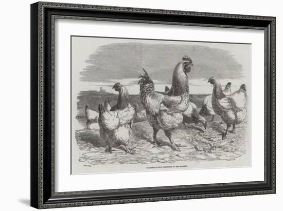 Shanghae Fowls Presented to Her Majesty-Harrison William Weir-Framed Giclee Print