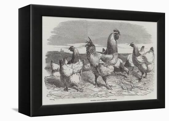 Shanghae Fowls Presented to Her Majesty-Harrison William Weir-Framed Premier Image Canvas