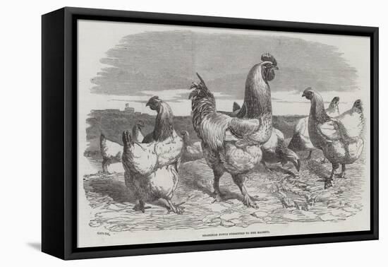 Shanghae Fowls Presented to Her Majesty-Harrison William Weir-Framed Premier Image Canvas