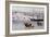 Shanghai Harbour C1875-null-Framed Giclee Print