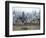 Shanghai Skyscrapers-Xiaoyang Liu-Framed Photographic Print