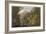 Shanklin Chine, from 'The Isle of Wight Illustrated, in a Series of Coloured Views'-Frederick Calvert-Framed Giclee Print