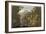 Shanklin Chine, from 'The Isle of Wight Illustrated, in a Series of Coloured Views'-Frederick Calvert-Framed Giclee Print