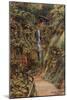 Shanklin Chine, Isle of Wight-Alfred Robert Quinton-Mounted Giclee Print