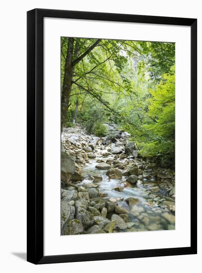 Shannon Falls Provincial Park near Squamish, British Columbia, Canada-Stuart Westmorland-Framed Photographic Print