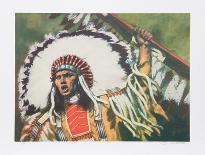 Oh Great Spirit Send Me a Vision-Shannon Stirnweis-Framed Collectable Print