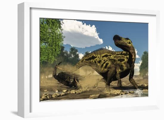 Shantungosaurus Dinosaur Defending Itself from a Tarbosaurus Attack-Stocktrek Images-Framed Art Print