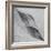 Shaped by a Creative Wind-Piet Flour-Framed Photographic Print
