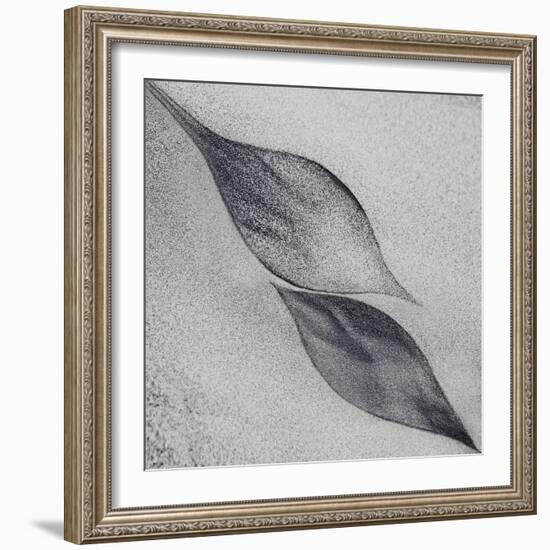 Shaped by a Creative Wind-Piet Flour-Framed Photographic Print