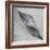 Shaped by a Creative Wind-Piet Flour-Framed Photographic Print