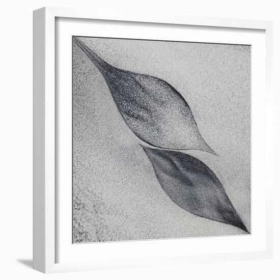 Shaped by a Creative Wind-Piet Flour-Framed Photographic Print