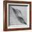 Shaped by a Creative Wind-Piet Flour-Framed Premium Photographic Print