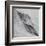 Shaped by a Creative Wind-Piet Flour-Framed Premium Photographic Print
