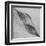 Shaped by a Creative Wind-Piet Flour-Framed Premium Photographic Print