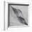 Shaped by a Creative Wind-Piet Flour-Framed Premium Photographic Print