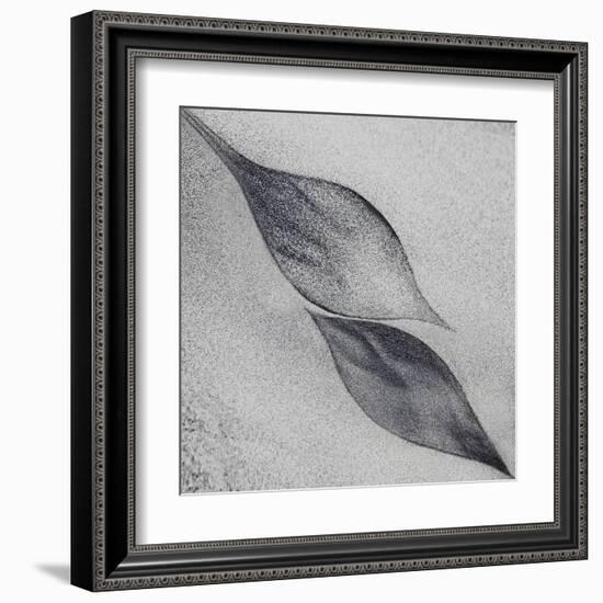 Shaped by a Creative Wind-Piet Flour-Framed Premium Photographic Print