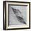 Shaped by a Creative Wind-Piet Flour-Framed Premium Photographic Print