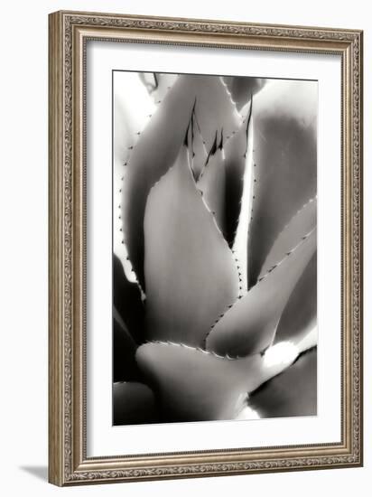 Shapes and Shadows I-Alan Hausenflock-Framed Photographic Print