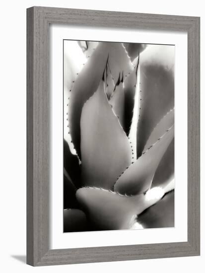 Shapes and Shadows I-Alan Hausenflock-Framed Photographic Print