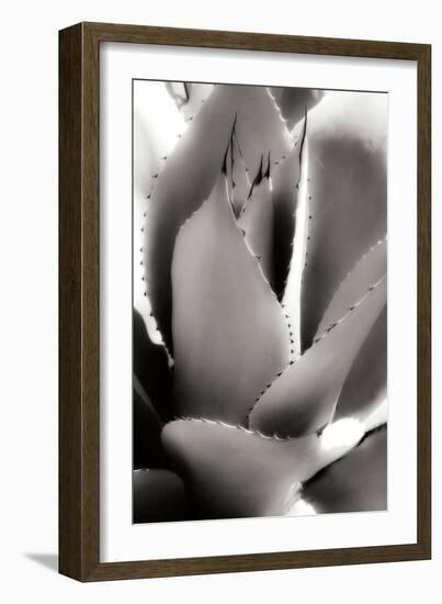 Shapes and Shadows I-Alan Hausenflock-Framed Photographic Print