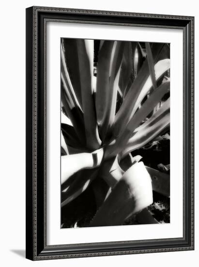 Shapes and Shadows III-Alan Hausenflock-Framed Photographic Print