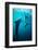 Shapes of water-Serge Melesan-Framed Photographic Print