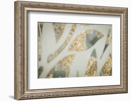 Shapes Through Petals 3-null-Framed Photographic Print