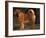 Shar Pei Portrait Showing the Curled Tail and Wrinkles on the Back-Adriano Bacchella-Framed Photographic Print