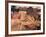 Shar Pei Puppy Lying on Its Back and Being Cuddled, Showing Excess Skin-Adriano Bacchella-Framed Photographic Print