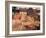 Shar Pei Puppy Lying on Its Back and Being Cuddled, Showing Excess Skin-Adriano Bacchella-Framed Photographic Print