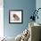 Shar Pei Puppy, Side-View-null-Framed Photographic Print displayed on a wall