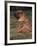 Shar Pei Puppy Sitting Down with Wrinkles on Back Clearly Visible-Adriano Bacchella-Framed Photographic Print