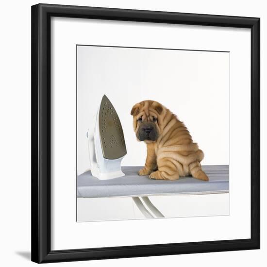 Shar Pei Puppy with Iron on Ironing Board-null-Framed Photographic Print