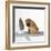 Shar Pei Puppy with Iron on Ironing Board-null-Framed Photographic Print