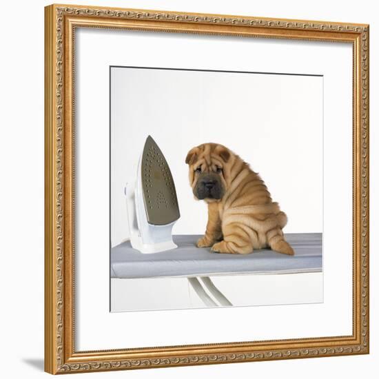 Shar Pei Puppy with Iron on Ironing Board-null-Framed Photographic Print