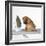 Shar Pei Puppy with Iron on Ironing Board-null-Framed Photographic Print