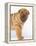 Shar-Pei-DLILLC-Framed Premier Image Canvas