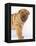 Shar-Pei-DLILLC-Framed Premier Image Canvas