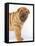 Shar-Pei-DLILLC-Framed Premier Image Canvas